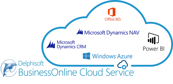 Delphisoft BusinessOnline Cloud Service